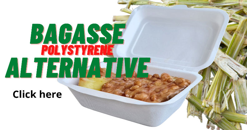 https://cdn11.bigcommerce.com/s-tjx0gy7pkp/product_images/uploaded_images/bagasse-alternative-to-polystyrene.jpg