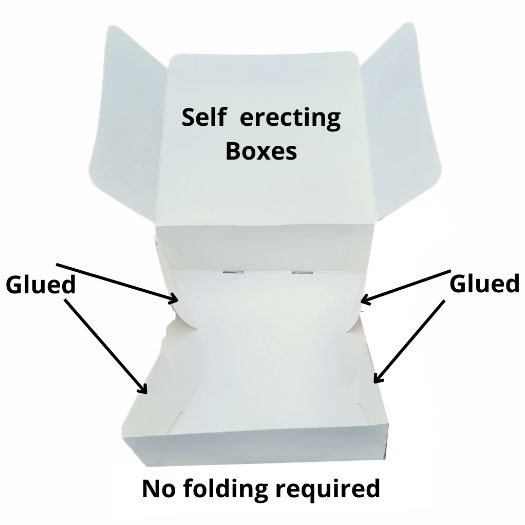 cake-box-4-point-glued-8-x-8-x-3-self-erecting-.jpg