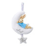 Beatrix Potter - Night Night Peter Musical