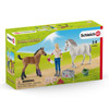 Schleich- Vet Visiting Mare and Foal