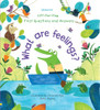 Usborne - Lift-the-Flap First Questions & Answers - What Are Feelings?