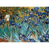 Eurographics 1000pc - Van Gogh, Irises Puzzle