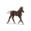 Schleich Horses - Black Forest Foal 13899