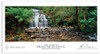 Ken Duncan 748pc- Liffey Falls, TAS Puzzle