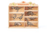 Tender Leaf Toys - Dinosaurs with Display Shelf