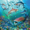 Ravensburger 3x49pc -Ocean Life Puzzles