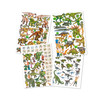 Dino World Create Your Dino Zoo Activity Book