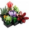 LEGO Icons - Succulents 10309