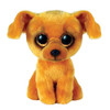 TY Beanie Boos Regular - Zuzu Tan Dachshund