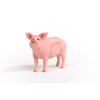 Schleich Farm World - Pig | 13933