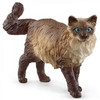 Schleich - Ragdoll Cat | 13940