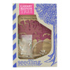 Seedling - My Magical Cherry Blossom Tree Crystal Growing Kit