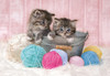 Clementoni 104pc puzzle - Sweet Kittens