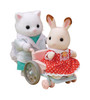 Sylvanian Families - Village Doctor Starter Set