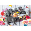 Ravensburger 2x12pc - Cute Little Furballs Puzzle