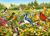 Ravensburger 500pc - Birds in the Meadow Puzzle