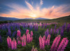 Ravensburger 500pc - Lupines Puzzle