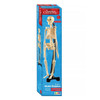Australian Geographic - Mini Skeleton 46cm