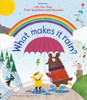 Usborne- Lift-The-Flap Very First Questions And Answers: What makes it rain?