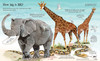 Usborne - Big Book of Animals