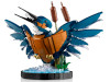 LEGO® ICONS - Kingfisher Bird 10331