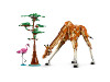 LEGO® Creator 3in1 - Wild Safari Animals 31150