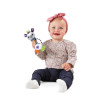 VTech - Shaking Sounds Zebra