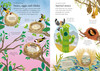 Usborne - Little First Stickers - Birds