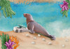 Playmobil Wiltopia - Sea Lion 71288