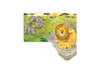 Usborne - Little Lift and Look Nosy Lion