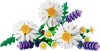 LEGO® Botanicals - Daisies 11508