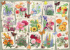 Ravensburger 1000pc - Cottage Garden Favourites Puzzle