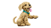 LEGO® ICONS - Golden Retriever Puppy 11384