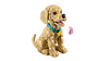 LEGO® ICONS - Golden Retriever Puppy 11384