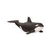 Schleich - Baby Orca Whale 14836**shop wear**