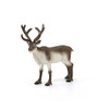 Schleich Wild Life - Reindeer 14837**shop wear**