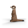 Schleich - Meerkat 14935