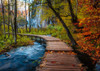 Ravensburger 1000pc - Autumnal Forest Path Puzzle