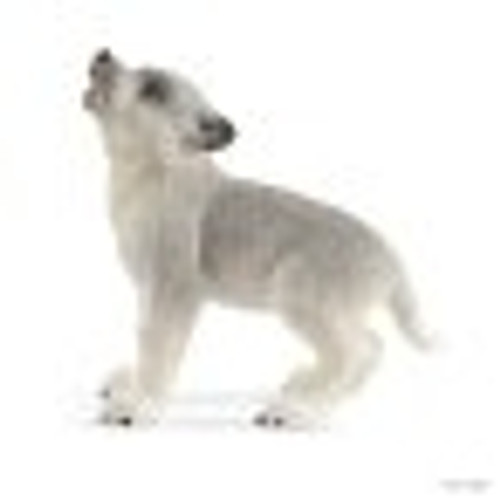 Schleich Wild Life - Mother Wolf with Pups Schleich Wild Life - Mother Wolf with Pups