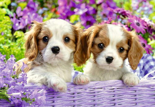 Ravensburger 2x24pc - Me and My Pal Puzzle Ravensburger 2x24pc - Me and My Pal Puzzle