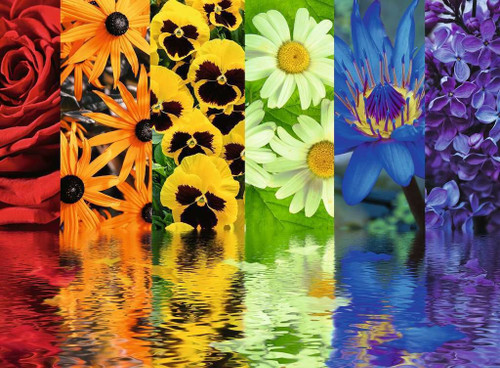Ravensburger 500pc - Floral Reflections Puzzle