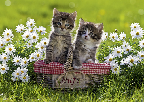 Ravensburger 1000pc - Picnic in the Meadow Puzzle Ravensburger 1000pc - Picnic in the Meadow Puzzle