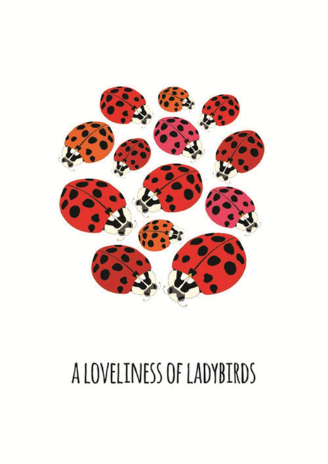 101 Collective Nouns