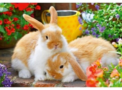 Ravensburger 2x12pc - Guinea Pigs + Bunnies Puzzle Ravensburger 2x12pc - Guinea Pigs + Bunnies Puzzle