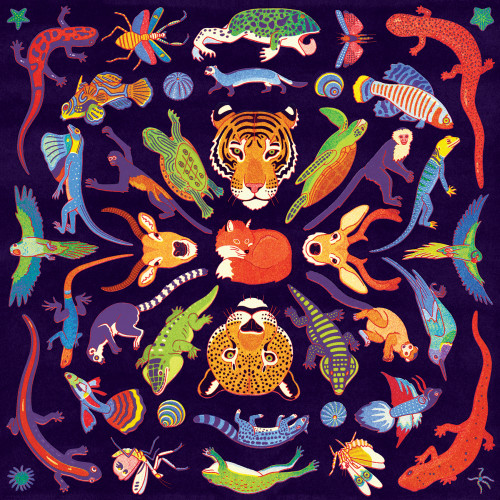 Mudpuppy 500pc -Kaleido Wild Puzzle Mudpuppy 500pc -Kaleido Wild Puzzle