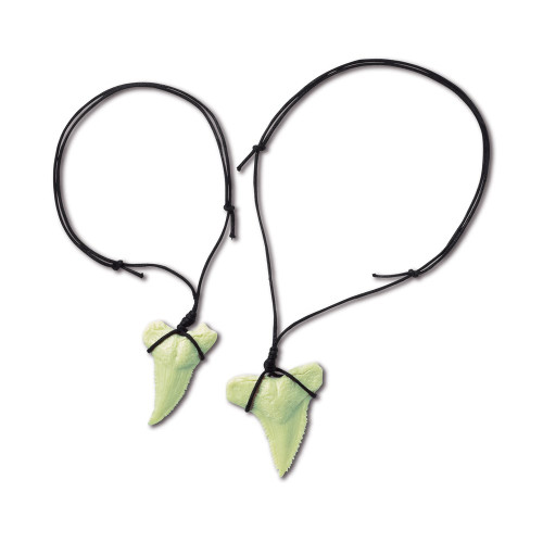 4M - KidzLabs - Shark Tooth Fossil