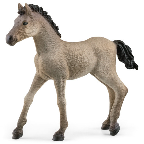 Schleich - Criollo Definitivo Foal