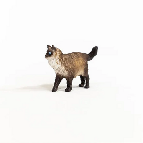Schleich - Ragdoll Cat | 13940 Schleich - Ragdoll Cat | 13940