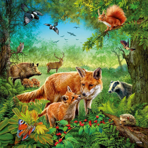 Ravensburger 3x49pc - Animals of the Earth Puzzle