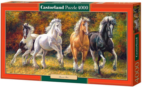 Castorland - 4000pc Puzzle Born To Run